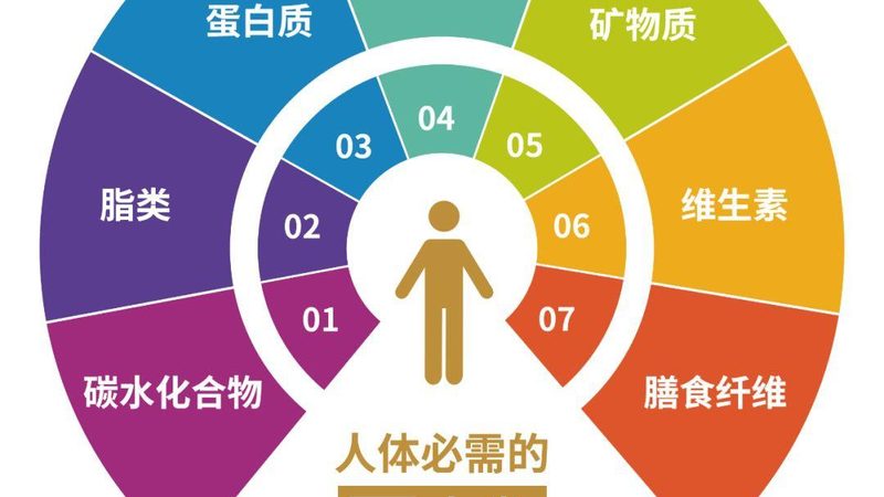 维生素K2，守护心血管健康的“神秘力量